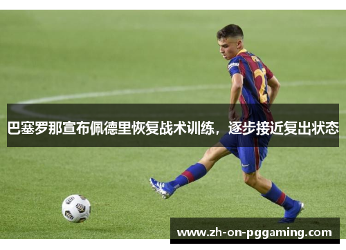 巴塞罗那宣布佩德里恢复战术训练，逐步接近复出状态