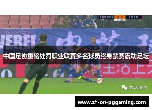 中国足协重磅处罚职业联赛多名球员终身禁赛震动足坛 中国足协重磅处罚职业联赛多名球员终身禁赛震动足坛